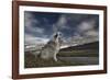 Moment in Time-Bragi Ingibergsson --Framed Photographic Print