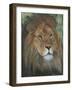 Moment of Calmness-Luis Aguirre-Framed Giclee Print