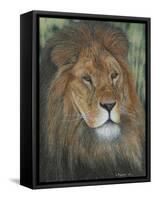 Moment of Calmness-Luis Aguirre-Framed Stretched Canvas