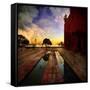 Moment of Truth-Philippe Sainte-Laudy-Framed Stretched Canvas