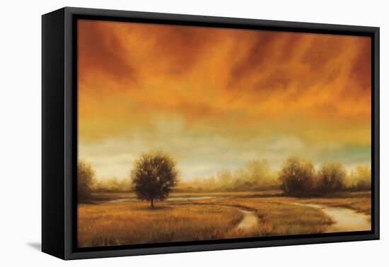 Moment to Moment-Gregory Williams-Framed Stretched Canvas
