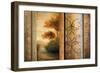 Momentary Radiance-Michael Marcon-Framed Art Print