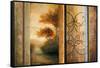 Momentary Radiance-Michael Marcon-Framed Stretched Canvas