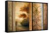 Momentary Radiance-Michael Marcon-Framed Stretched Canvas