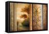 Momentary Radiance-Michael Marcon-Framed Stretched Canvas