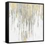 Momentary Reflection II-Tom Conley-Framed Stretched Canvas