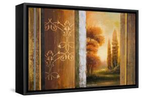 Momentary Shine-Michael Marcon-Framed Stretched Canvas