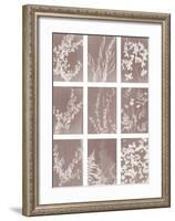 Momento-Sarah Cheyne-Framed Giclee Print