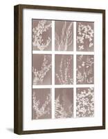 Momento-Sarah Cheyne-Framed Giclee Print