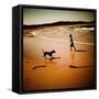 Moments in a Life-Mark James Gaylard-Framed Stretched Canvas