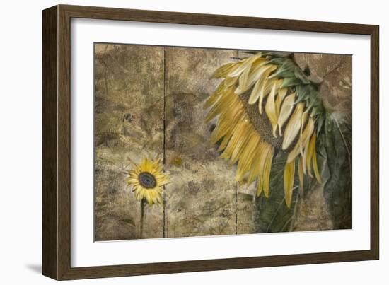 Momma Said-Barbara Simmons-Framed Giclee Print