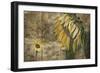 Momma Said-Barbara Simmons-Framed Giclee Print