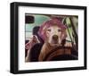 Mommy Chauffeur-Lucia Heffernan-Framed Art Print