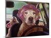 Mommy Chauffeur-Lucia Heffernan-Mounted Art Print