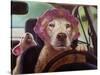 Mommy Chauffeur-Lucia Heffernan-Stretched Canvas