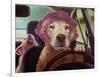 Mommy Chauffeur-Lucia Heffernan-Framed Art Print