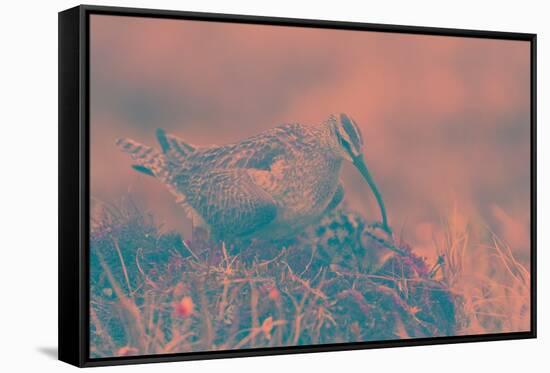 Mon and Chick-Art Wolfe-Framed Stretched Canvas