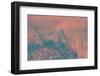 Mon and Chick-Art Wolfe-Framed Photographic Print