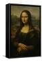 Mona Lisa, 1503-1506-Leonardo da Vinci-Framed Stretched Canvas