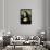 Mona Lisa, c.1507 (detail)-Leonardo da Vinci-Framed Giclee Print displayed on a wall