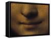 Mona Lisa-Leonardo da Vinci-Framed Stretched Canvas