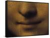 Mona Lisa-Leonardo da Vinci-Framed Stretched Canvas