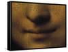 Mona Lisa-Leonardo da Vinci-Framed Stretched Canvas