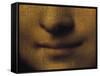 Mona Lisa-Leonardo da Vinci-Framed Stretched Canvas