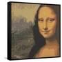 Mona Liza-John Zaccheo-Framed Stretched Canvas