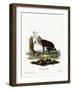 Mona Monkey-null-Framed Giclee Print