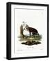 Mona Monkey-null-Framed Giclee Print