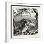 Monaco, from the Mainland, the Cornice Road, 19th Century-null-Framed Giclee Print