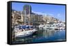 Monaco Harbour, Monaco, Mediterranean, Europe-Amanda Hall-Framed Stretched Canvas