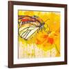 Monarch 2-null-Framed Art Print