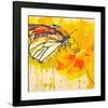 Monarch 2-null-Framed Art Print