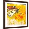 Monarch 2-null-Framed Art Print