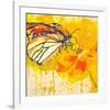 Monarch 2-null-Framed Art Print