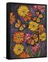 Monarch and Gerba Daisies-Charlsie Kelly-Framed Stretched Canvas