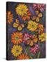 Monarch and Gerba Daisies-Charlsie Kelly-Stretched Canvas