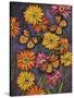 Monarch and Gerba Daisies-Charlsie Kelly-Stretched Canvas