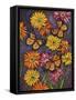 Monarch and Gerba Daisies-Charlsie Kelly-Framed Stretched Canvas