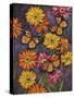 Monarch and Gerba Daisies-Charlsie Kelly-Stretched Canvas