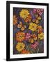 Monarch and Gerba Daisies-Charlsie Kelly-Framed Giclee Print