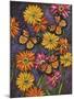 Monarch and Gerba Daisies-Charlsie Kelly-Mounted Giclee Print