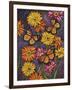 Monarch and Gerba Daisies-Charlsie Kelly-Framed Giclee Print