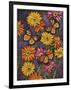 Monarch and Gerba Daisies-Charlsie Kelly-Framed Giclee Print