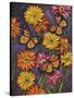 Monarch and Gerba Daisies-Charlsie Kelly-Stretched Canvas