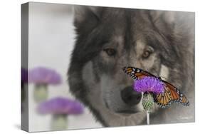 Monarch and Wolf II-Gordon Semmens-Stretched Canvas