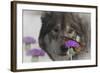 Monarch and Wolf II-Gordon Semmens-Framed Photographic Print