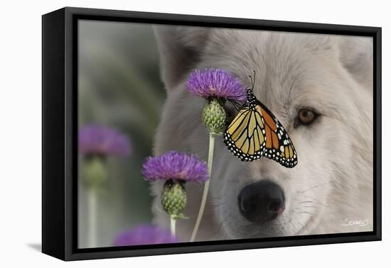 Monarch and Wolf-Gordon Semmens-Framed Stretched Canvas